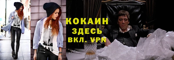 индика Заволжье