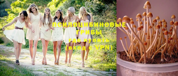 не бодяженный Заволжск