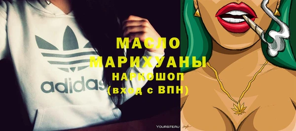 индика Заволжье