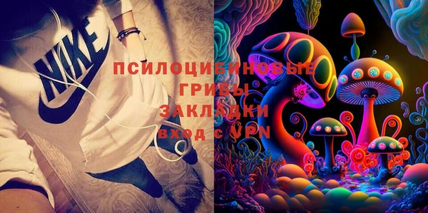 индика Заволжье