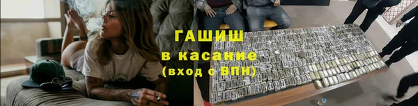 индика Заволжье