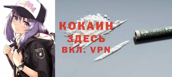 индика Заволжье