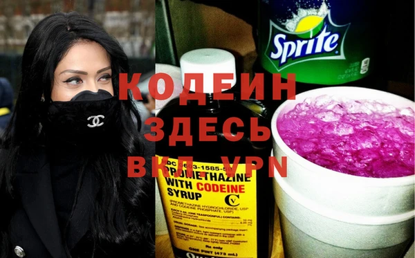 индика Заволжье
