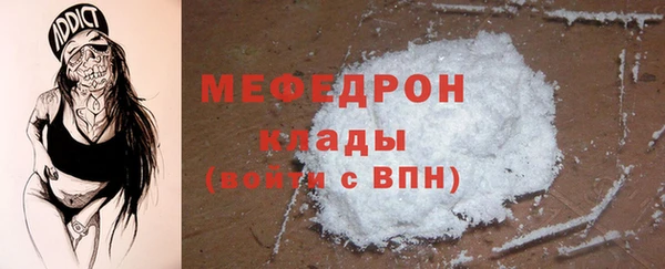индика Заволжье